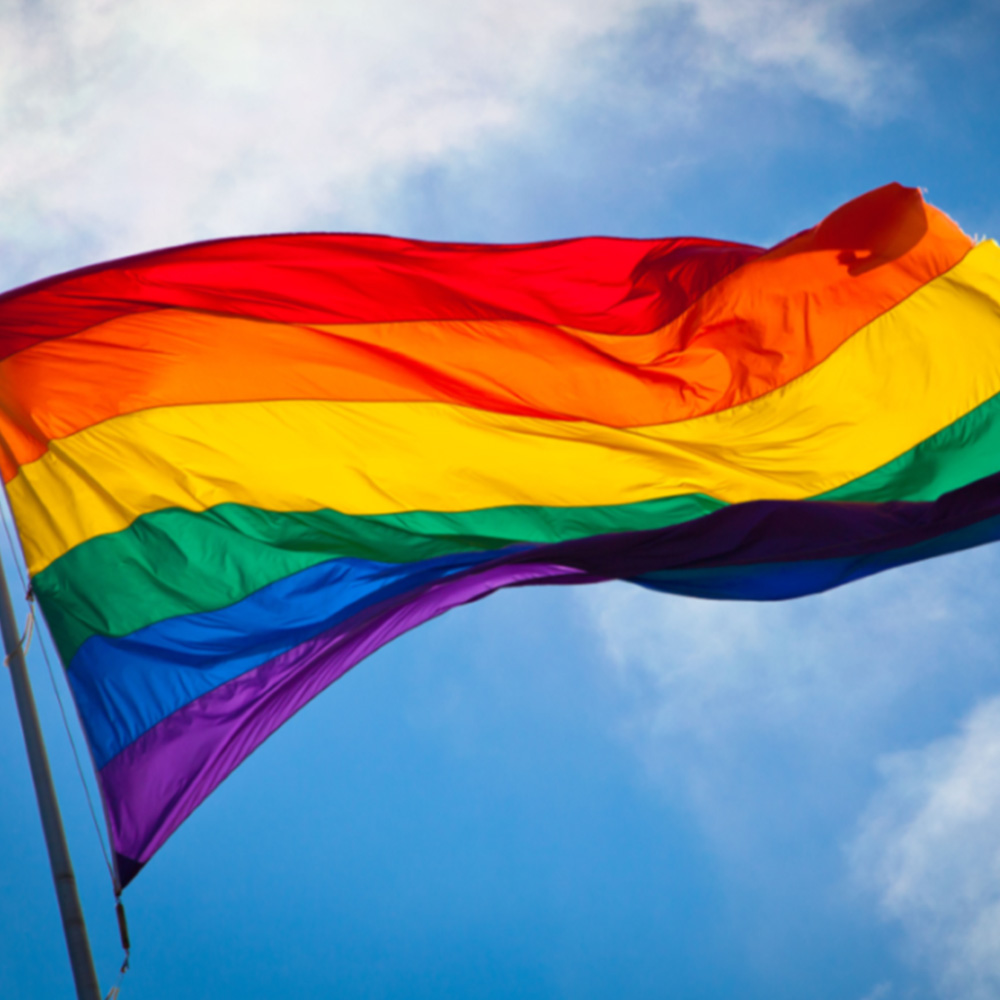 Pride Flag Press Image